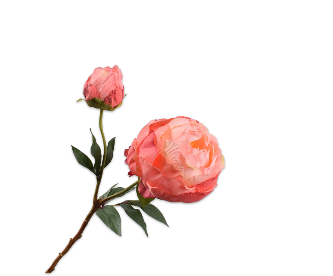 Pioentak zalm – zijden bloem 56 cm