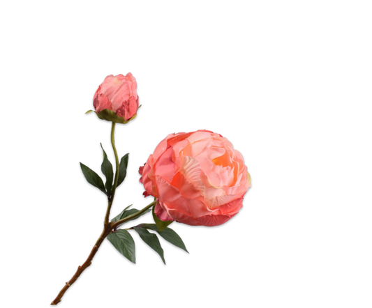 Pioentak zalm – zijden bloem 56 cm