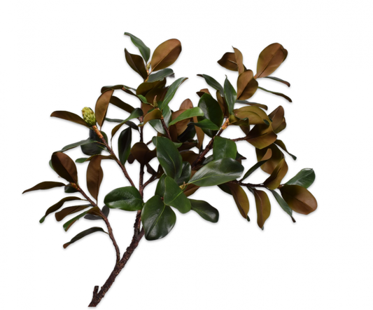 Magnolia tak 152 cm – zijden bloem groen 152 cm