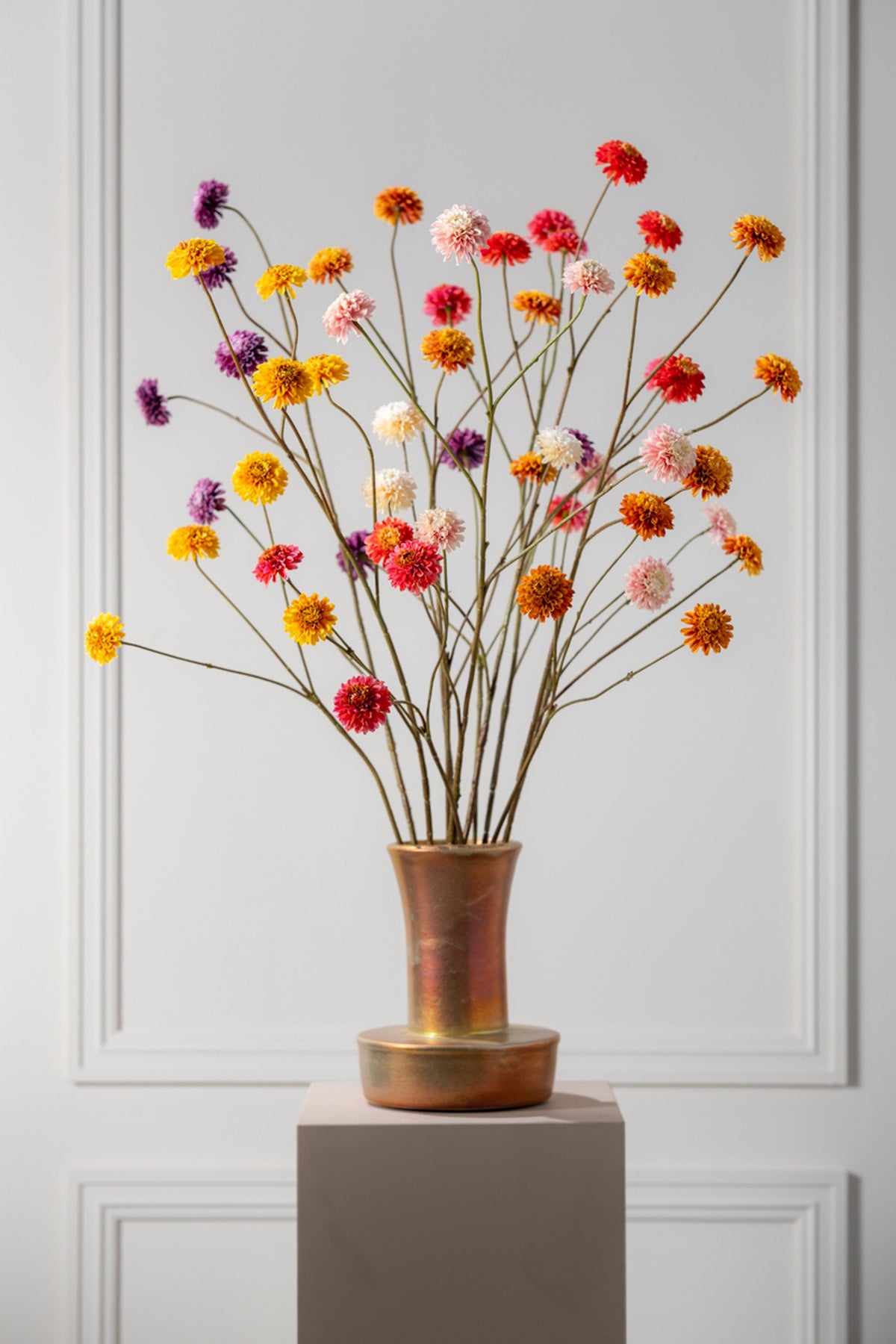 Gele dahlia tak in sfeerbeeld