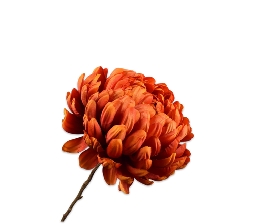 Chrysant tak oranje/rood – zijden bloem van Silk-ka, 76 cm