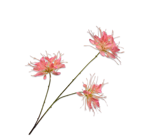 Kamperfoelie tak oranje/roze – zijden bloem 94 cm