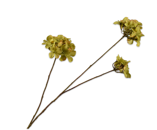Hortensia tak groen – zijden bloem van Silk-ka, 85 cm