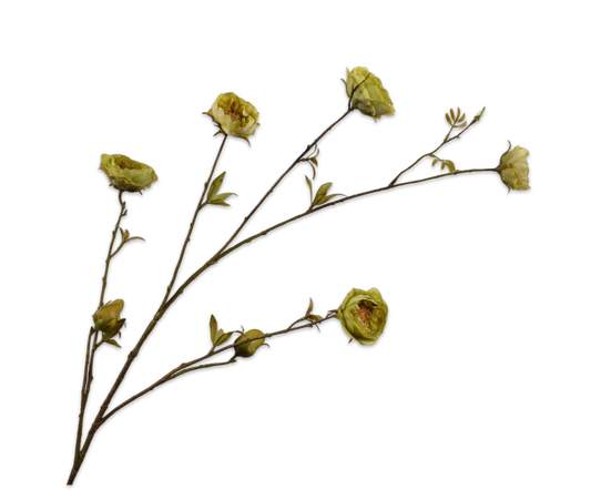 Roos tak groen – zijden bloem van Silk-ka, 117 cm