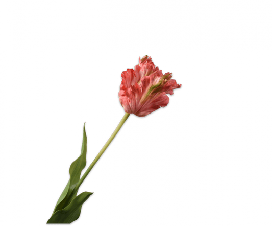Zijden tulp roze, 71 cm, van Silk-ka