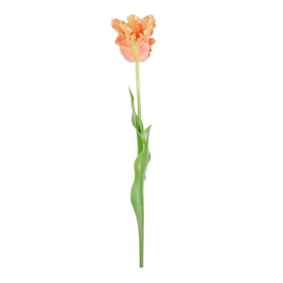 Zijden parrot tulp perzik van Silk-ka, hele steel met blad