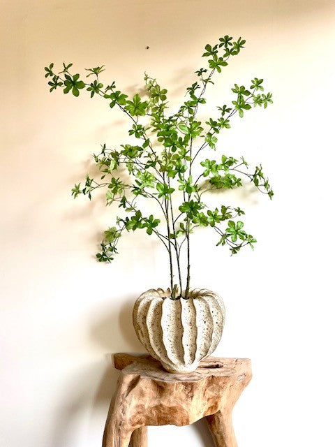 Zijden Podocarpus in pot