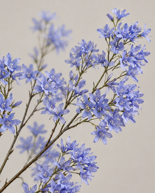 Campanula tak blauw 113 cm