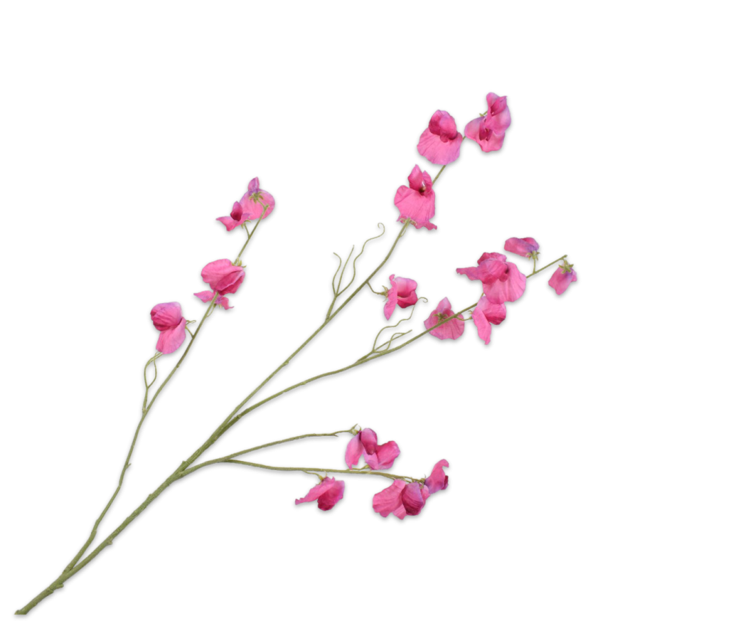 Lathyrus – zijden bloem 117 cm