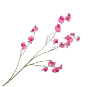 Lathyrus – zijden bloem 117 cm