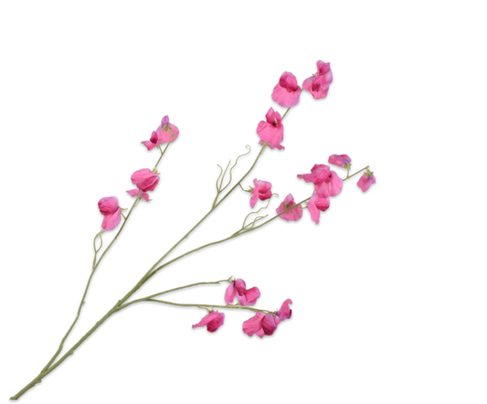 Lathyrus – zijden bloem 117 cm
