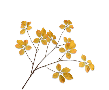 Bladtak geel – zijden bloem van Silk-ka, 103 cm