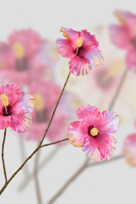 Hibiscus tak roze – zijden bloem