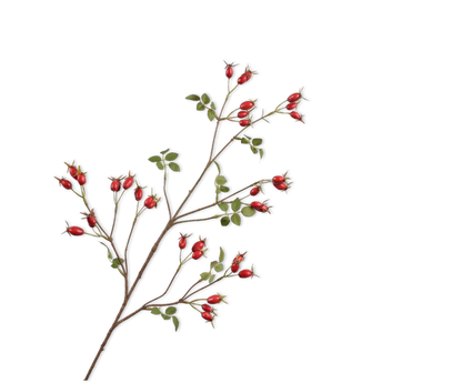 Rozenbottel tak rood – zijden bloem van Silk-ka, 95 cm