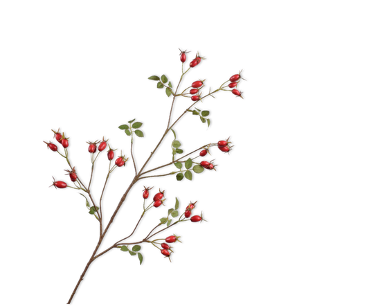 Rozenbottel tak rood – zijden bloem van Silk-ka, 95 cm