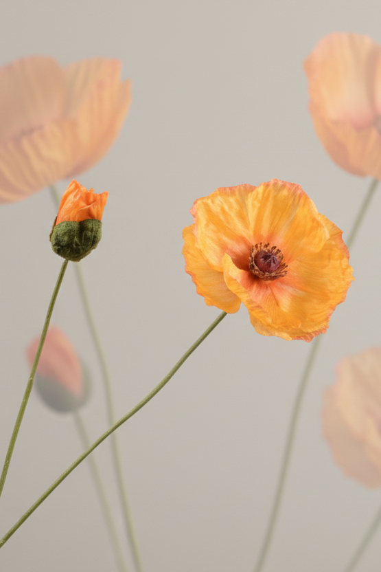 Klaproos tak geel – zijden bloem 82 cm
