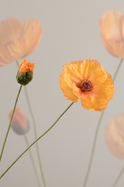 Klaproos tak geel – zijden bloem 82 cm