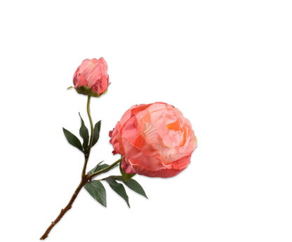 Pioentak zalm – zijden bloem 56 cm