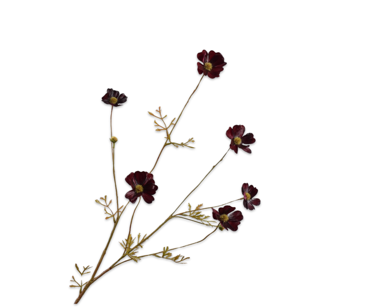 Cosmos tak bordeaux – zijden bloem van Silk-ka, 77 cm