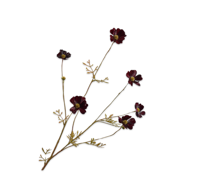 Cosmos tak bordeaux – zijden bloem van Silk-ka, 77 cm