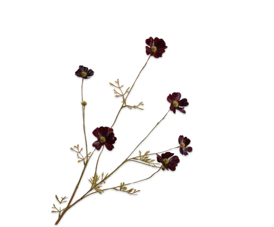 Cosmos tak bordeaux – zijden bloem van Silk-ka, 77 cm