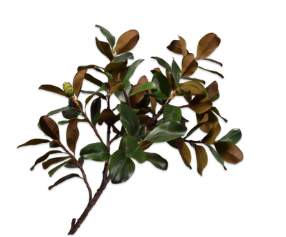 Magnolia tak 152 cm – zijden bloem groen 152 cm