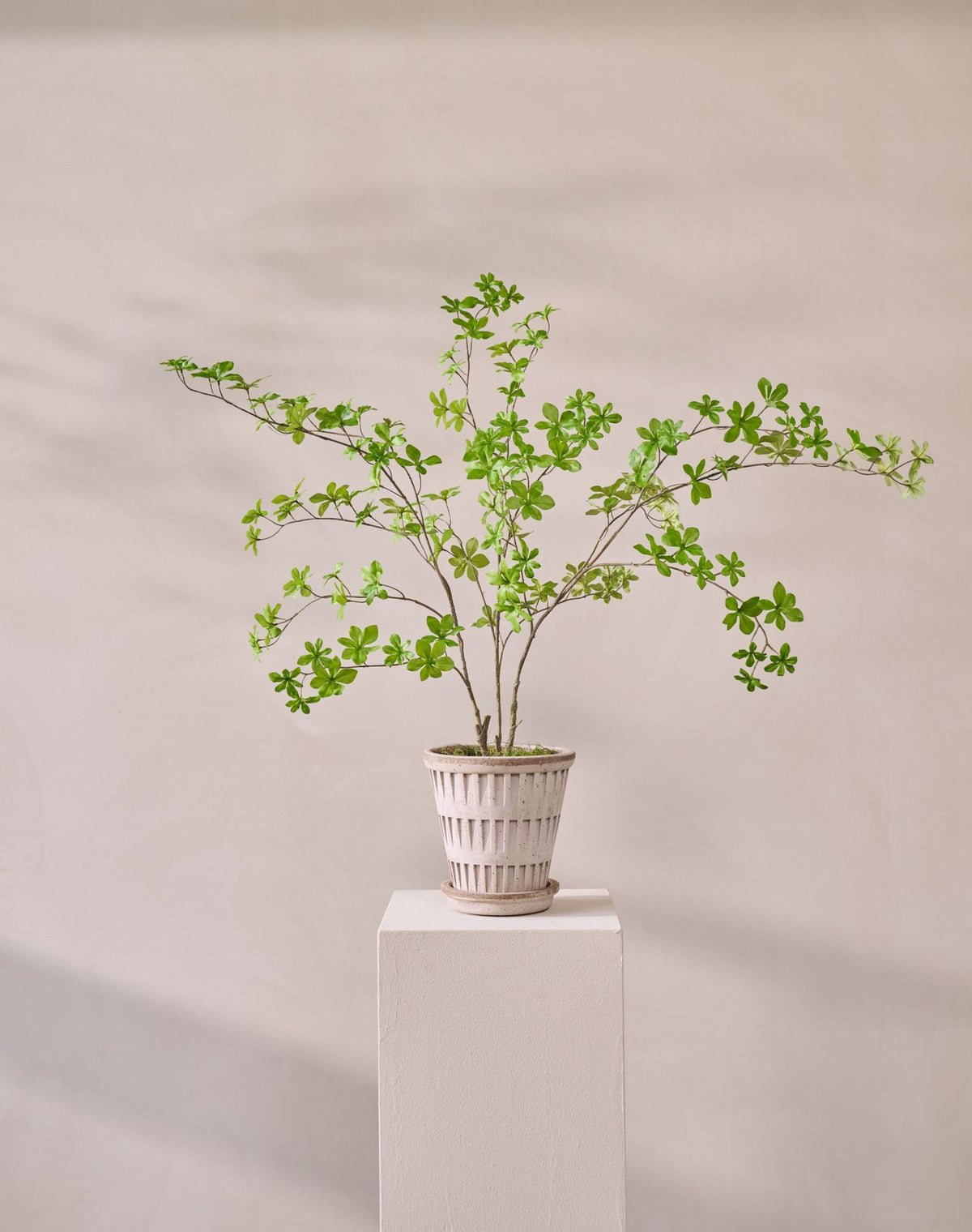 Bladtak bush groen 107 cm in sfeerbeeld