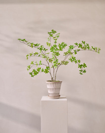 Bladtak bush groen 107 cm in sfeerbeeld