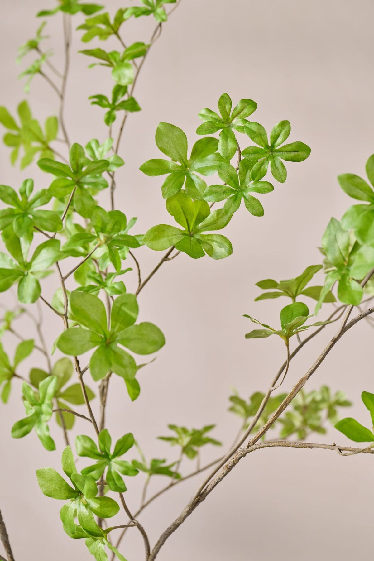 Bladtak bush groen 107 cm detail