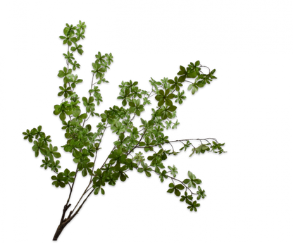Bladtak Bush 107 cm – zijden bloem groen 107 cm