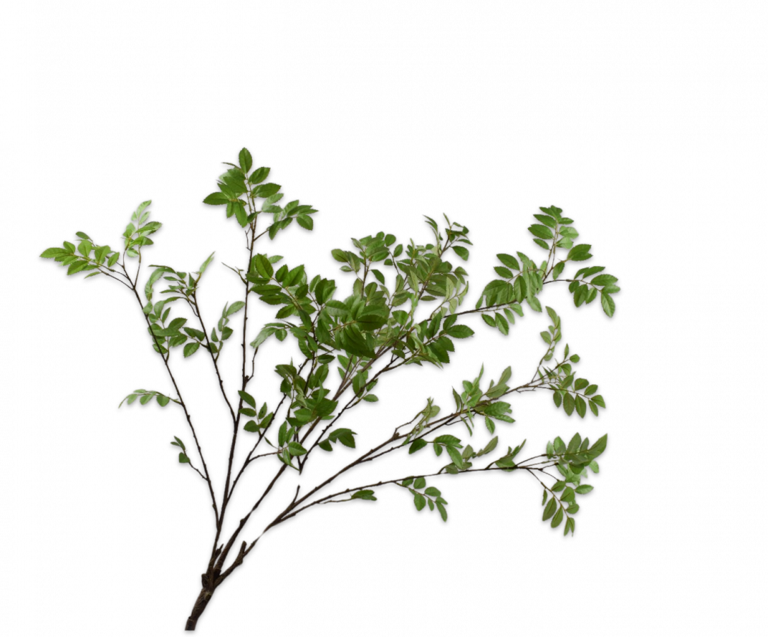 Bladtak bush groen 109 cm zijden tak Silk-ka