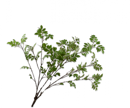 Bladtak bush groen 109 cm zijden tak Silk-ka