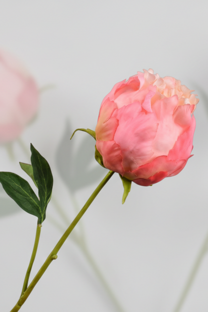 Pioentak zalm 56 cm real touch zijden bloem Silk-ka