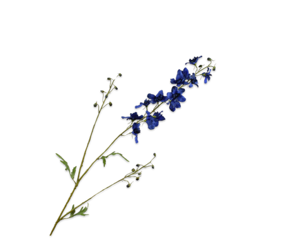 Delphinium tak blauw – zijden bloem 101 cm