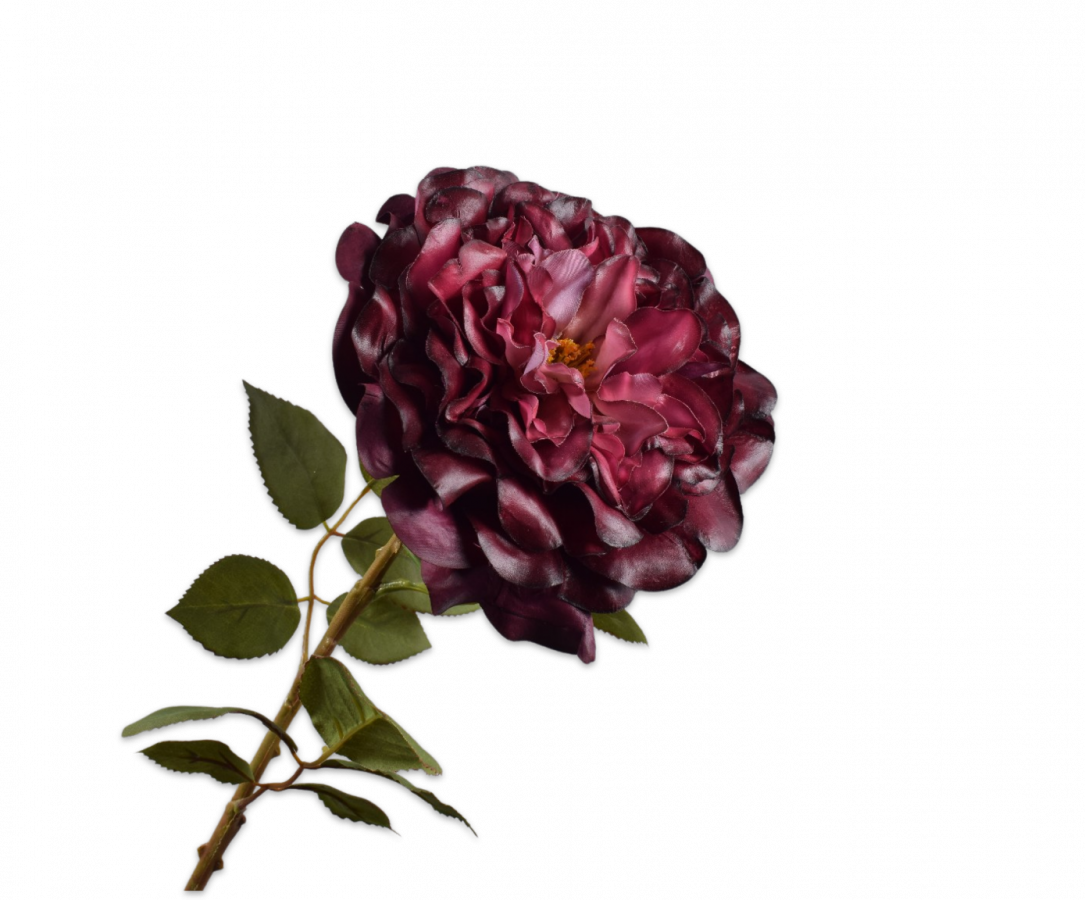 Roos bordeaux – zijden bloem 70 cm