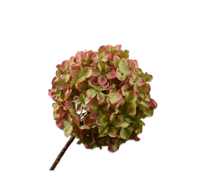 Hortensia tak groen roze 72 cm zijden bloem Silk-ka