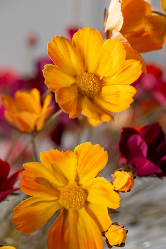 Zijden cosmos tak oranje in vaas