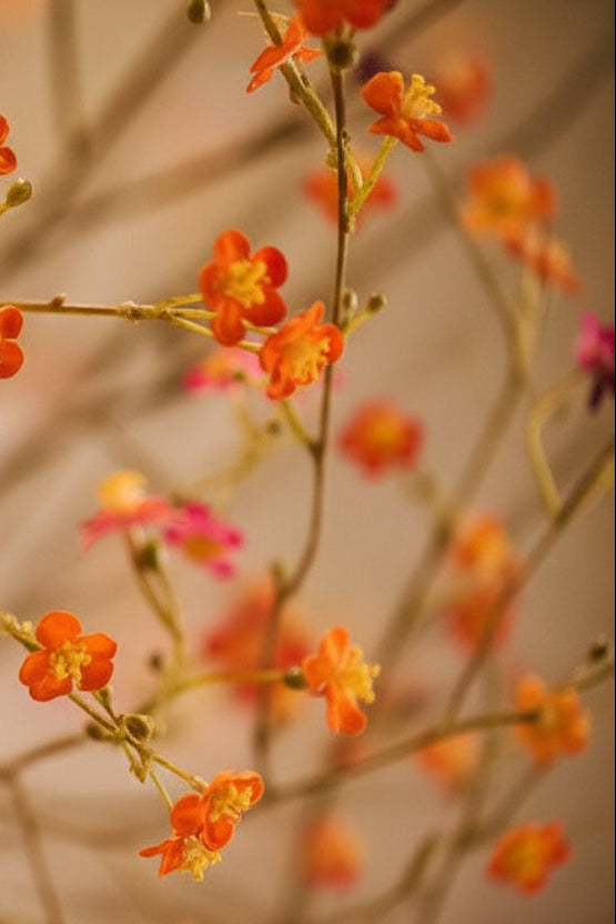 Vergeetmeniet tak oranje – zijden bloem 132 cm – afbeelding 3