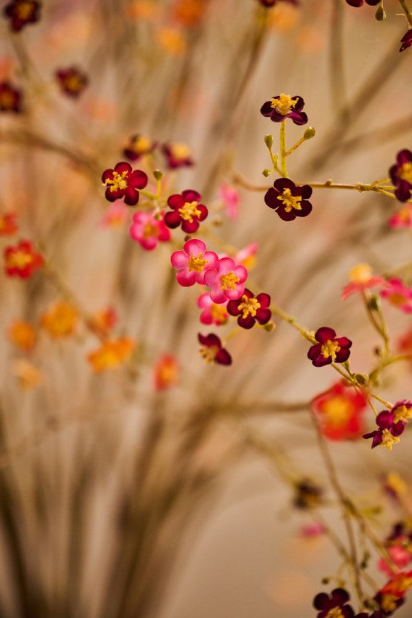 Vergeetmeniet tak rood/oranje – zijden bloem 132 cm – afbeelding 3