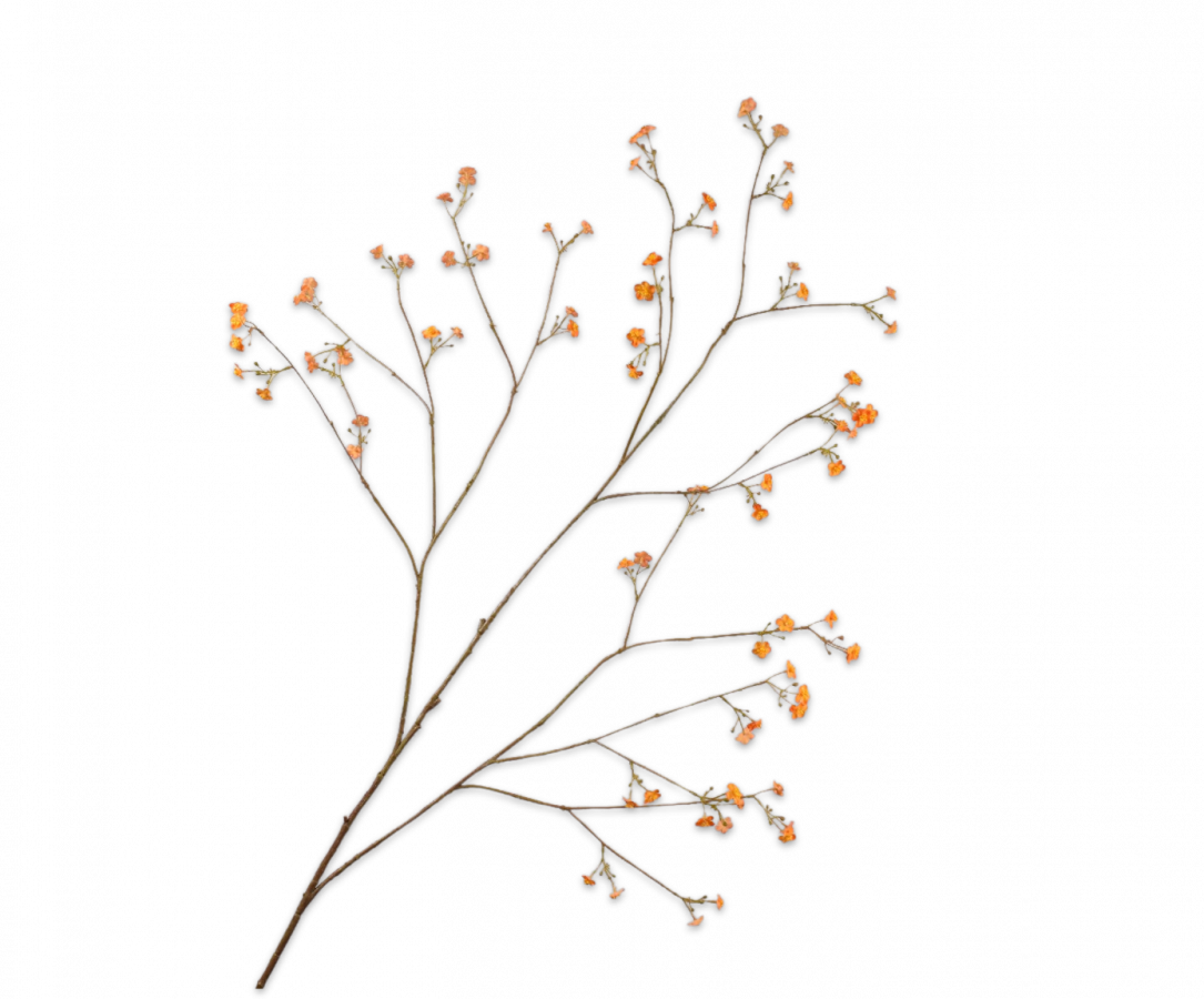 Vergeetmeniet tak oranje – zijden bloem 132 cm