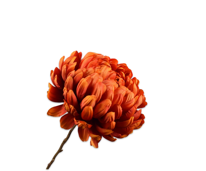 Chrysant tak oranje/rood – zijden bloem van Silk-ka, 76 cm