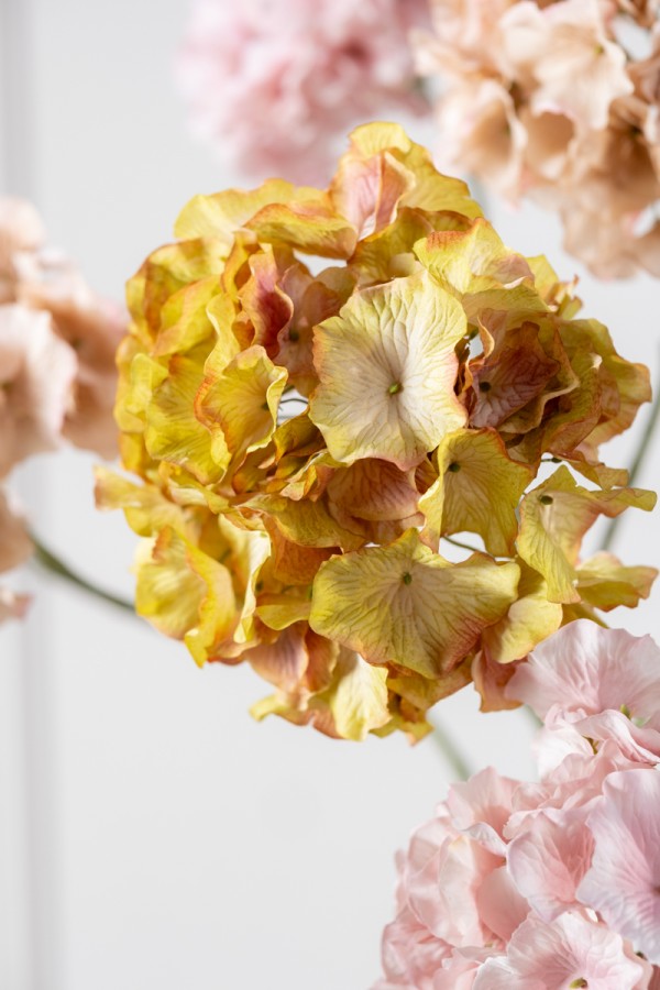 Hortensia tak groen/ roze – zijden bloem 72 cm – afbeelding 3