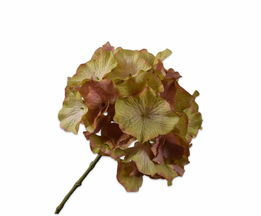Hortensia tak groen/ roze – zijden bloem 72 cm