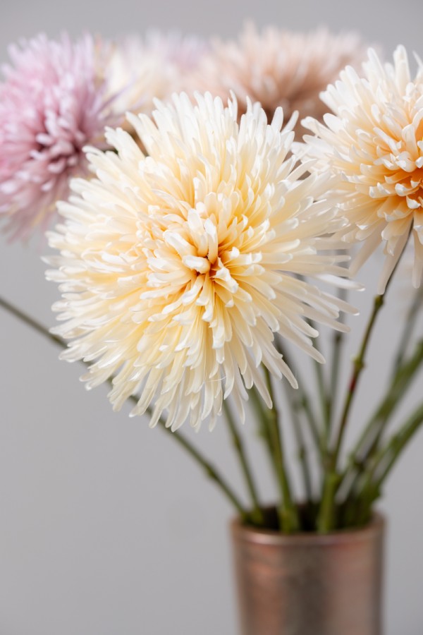Chrysant creme – zijden bloem 60 cm – afbeelding 3