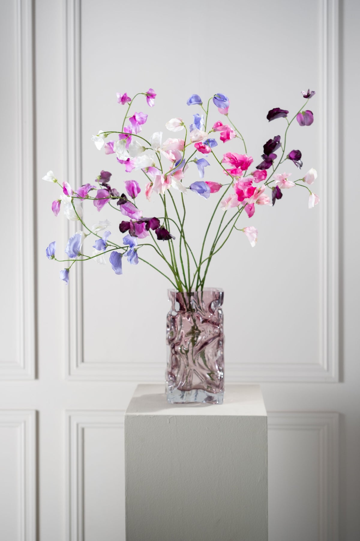 Lathyrus tak roze in sfeerbeeld