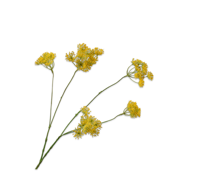 Dille tak geel – zijden bloem 83 cm