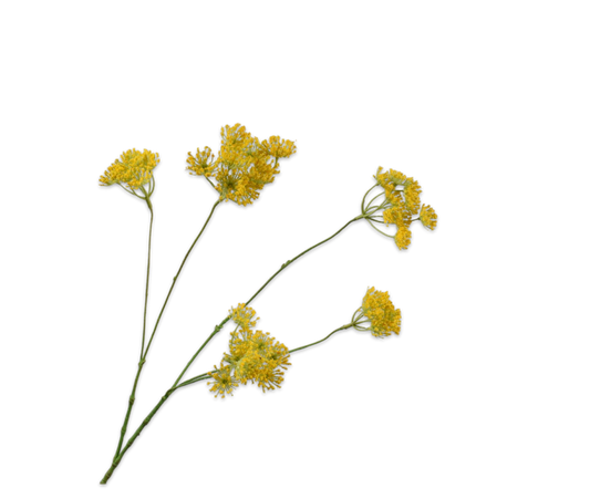 Dille tak geel – zijden bloem 83 cm