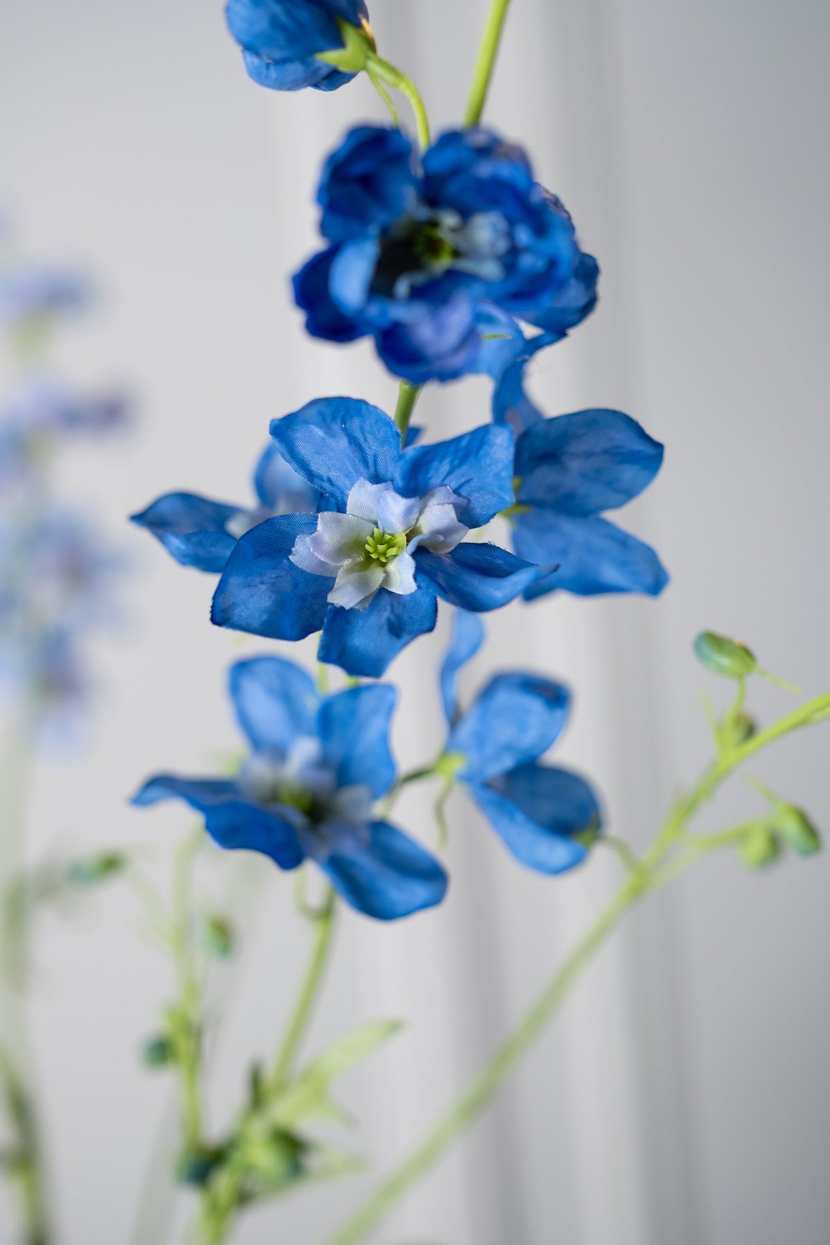 Delphinium tak blauw detail