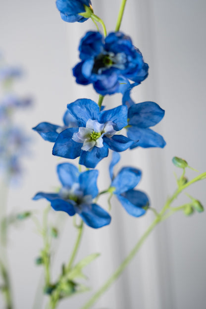 Delphinium tak blauw detail