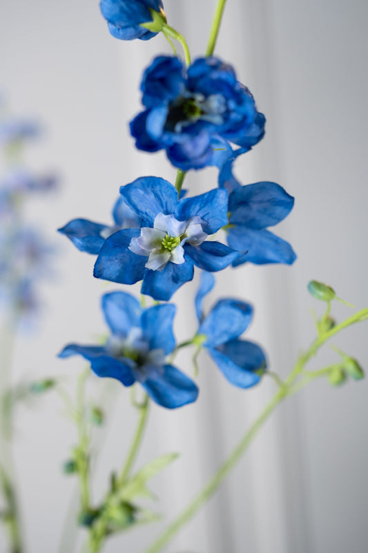 Delphinium tak blauw detail